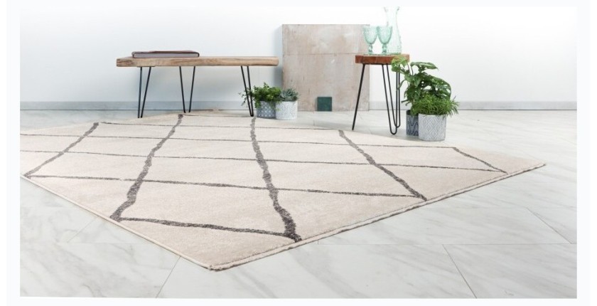 Tapis 170x120, Ivoire - Confort et élégance pour votre intérieur