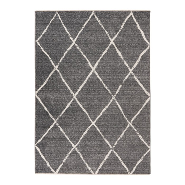 Tapis 150x80cm, gris - Confort et élégance pour votre intérieur