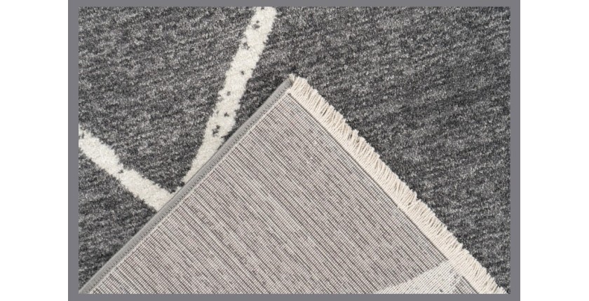 Tapis 290x200cm, gris - Confort et élégance pour votre intérieur