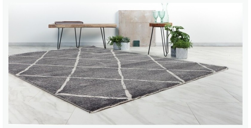 Tapis 170x120cm, gris - Confort et élégance pour votre intérieur