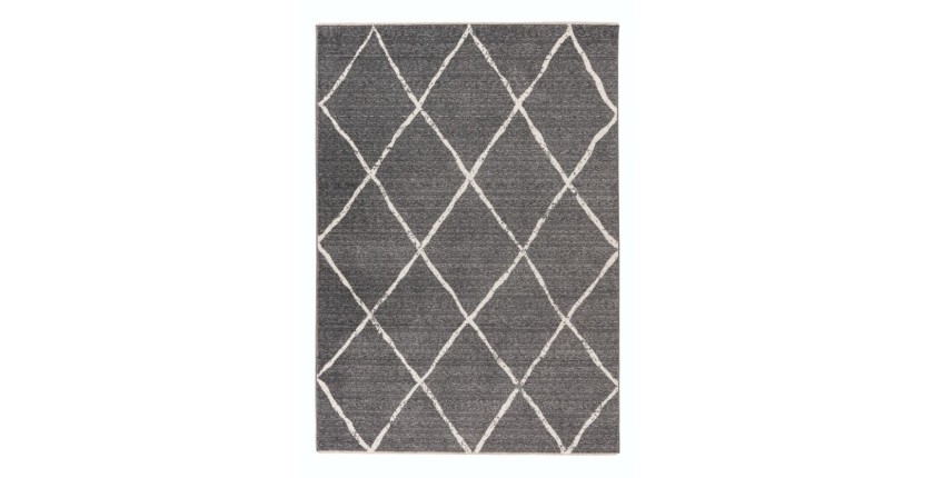 Tapis 170x120cm, gris - Confort et élégance pour votre intérieur
