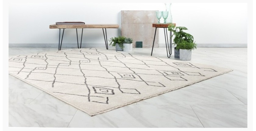 Tapis 170x120cm, design 205 coloris ivoire - Confort et élégance pour votre intérieur