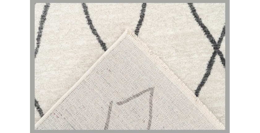 Tapis 170x120cm, design 205 coloris ivoire - Confort et élégance pour votre intérieur