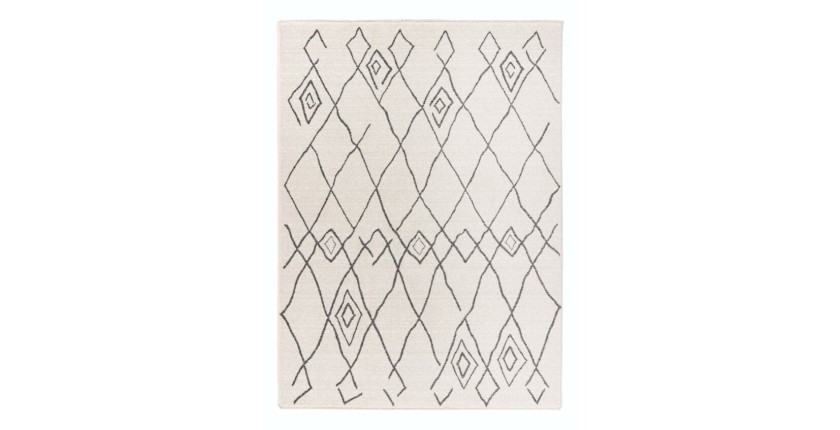 Tapis 170x120cm, design 205 coloris ivoire - Confort et élégance pour votre intérieur