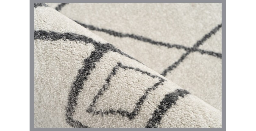 Tapis 290x200cm, design A205R coloris ivory - Confort et élégance pour votre intérieur