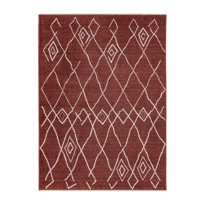 Tapis 150x80cm, design A205R coloris terracota - Confort et élégance pour votre intérieur