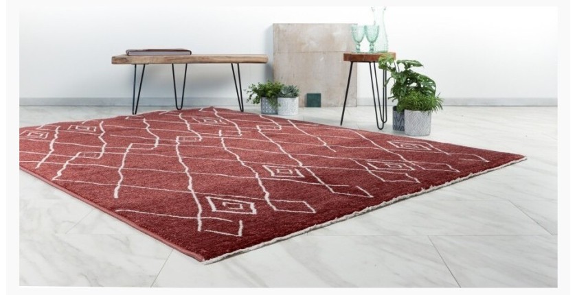 Tapis 170x120cm, design A205R coloris terracota - Confort et élégance pour votre intérieur