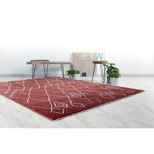Tapis 170x120cm, design A205R coloris terracota - Confort et élégance pour votre intérieur