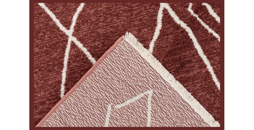 Tapis 170x120cm, design A205R coloris terracota - Confort et élégance pour votre intérieur