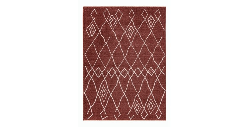 Tapis 230x160cm, design A205R coloris terracotta - Confort et élégance pour votre intérieur