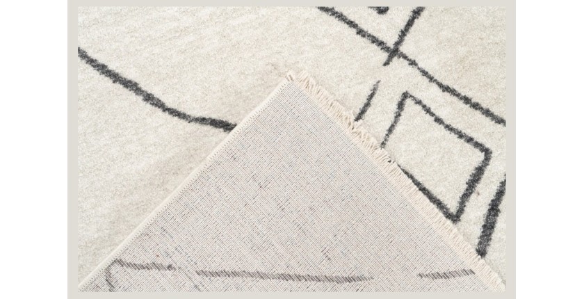 Tapis 170x120cm, design A305R coloris multicouleurs - Confort et élégance pour votre intérieur