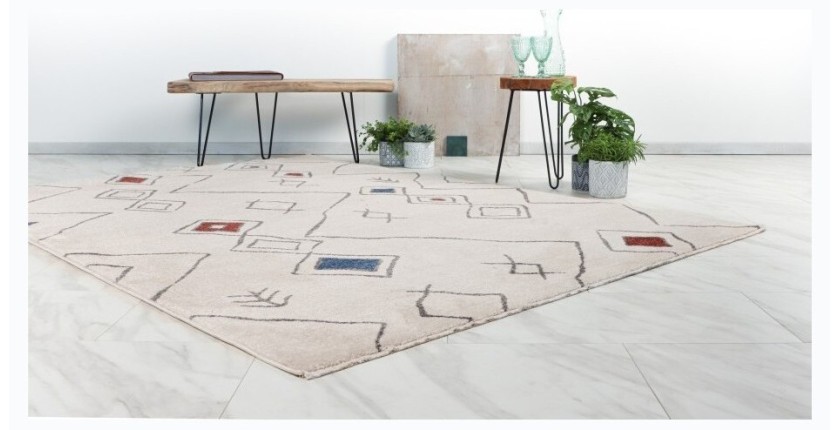 Tapis 230x160cm, design A305R coloris multicolore - Confort et élégance pour votre intérieur