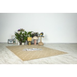 Tapis 170x120cm, design A102A coloris beige - Confort et élégance pour votre intérieur