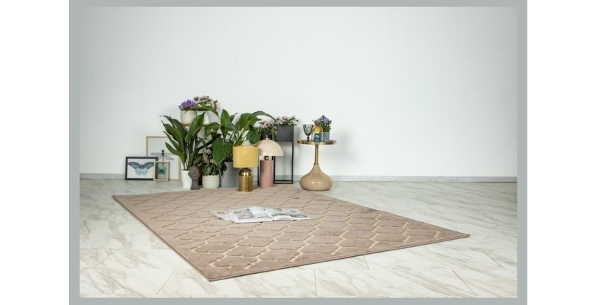 Tapis 230x160cm, design A102A coloris taupe - Confort et élégance pour votre intérieur