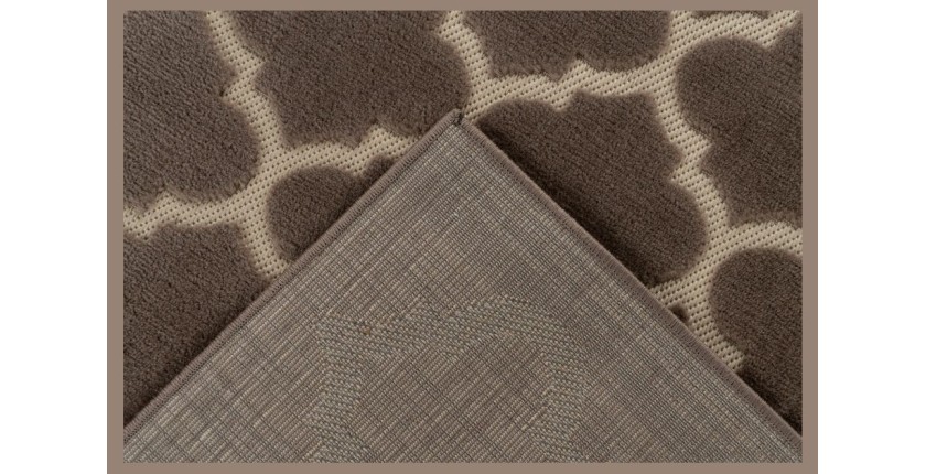 Tapis 290x200cm, design A102A coloris taupe - Confort et élégance pour votre intérieur