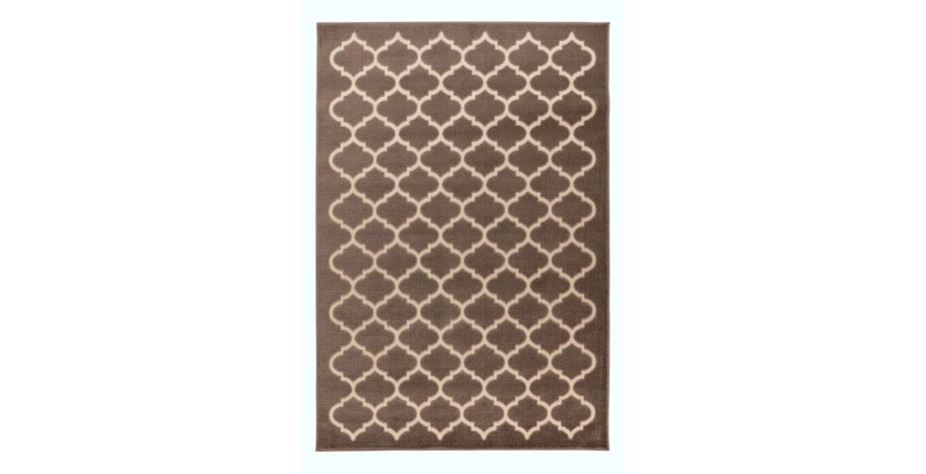 Tapis 290x200cm, design A102A coloris taupe - Confort et élégance pour votre intérieur
