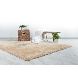 Tapis 230x160cm, design C005D coloris sable - Confort et élégance pour votre intérieur