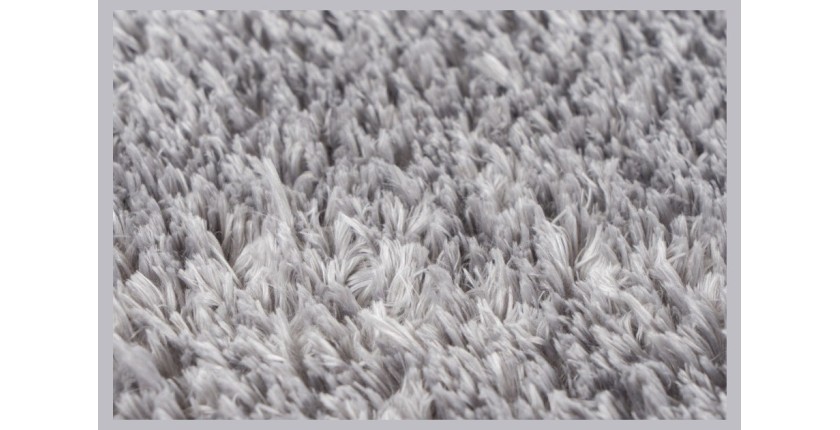 Tapis 230x160cm, design C005D coloris argent - Confort et élégance pour votre intérieur