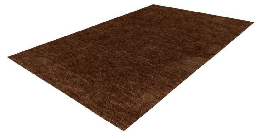 Tapis 170x120cm, design C007Y coloris brun clair - Confort et élégance pour votre intérieur