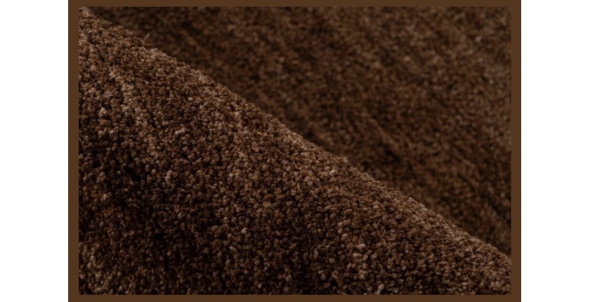 Tapis 170x120cm, design C007Y coloris brun clair - Confort et élégance pour votre intérieur