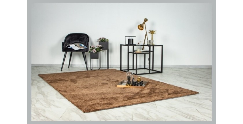 Tapis 290x200cm, design C007Y coloris brun clair - Confort et élégance pour votre intérieur