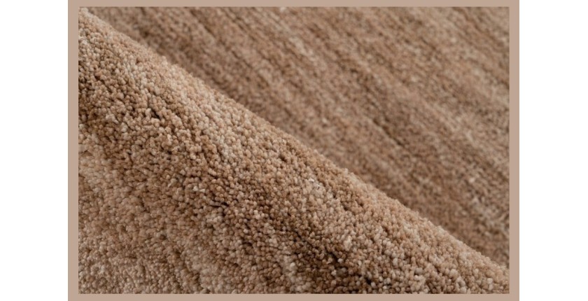 Tapis 230x160cm, design C008Y coloris beige - Confort et élégance pour votre intérieur