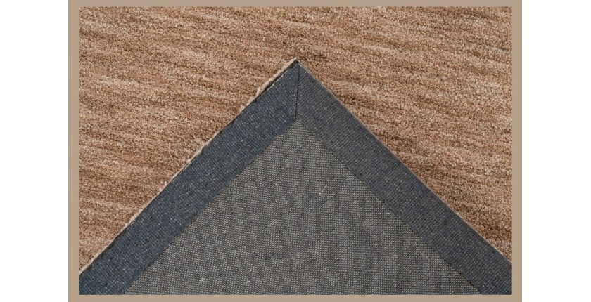 Tapis 230x160cm, design C008Y coloris beige - Confort et élégance pour votre intérieur