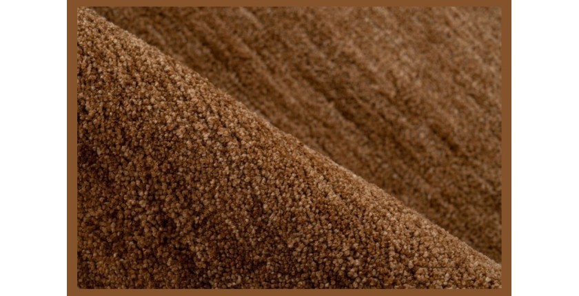 Tapis 230x160cm, design C008Y coloris camel - Confort et élégance pour votre intérieur