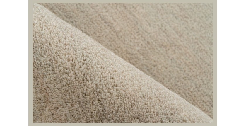 Tapis 230x160cm, design C008Y coloris ivoire - Confort et élégance pour votre intérieur