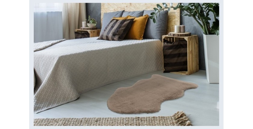 Tapis 90x60cm, design C005Y coloris taupe - Confort et élégance pour votre intérieur
