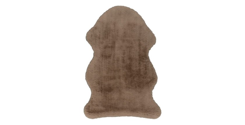 Tapis 90x60cm, design C005Y coloris taupe - Confort et élégance pour votre intérieur