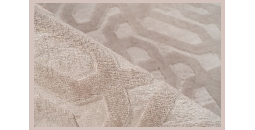 Tapis 280x200cm, design D012A coloris taupe clair - Confort et élégance pour votre intérieur