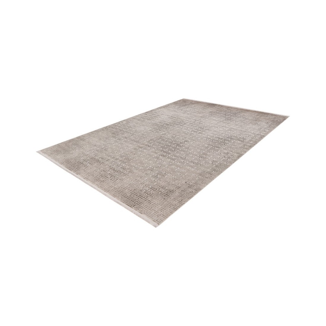 Tapis 290x200cm, design E209E coloris argent - Confort et élégance pour votre intérieur