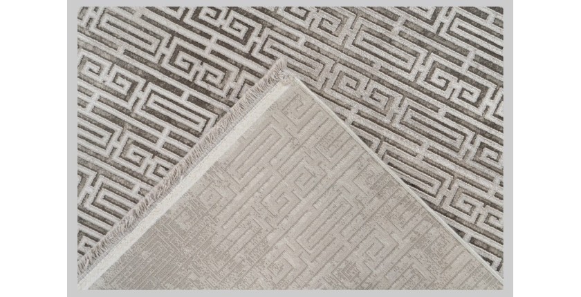 Tapis 290x200cm, design E209E coloris argent - Confort et élégance pour votre intérieur