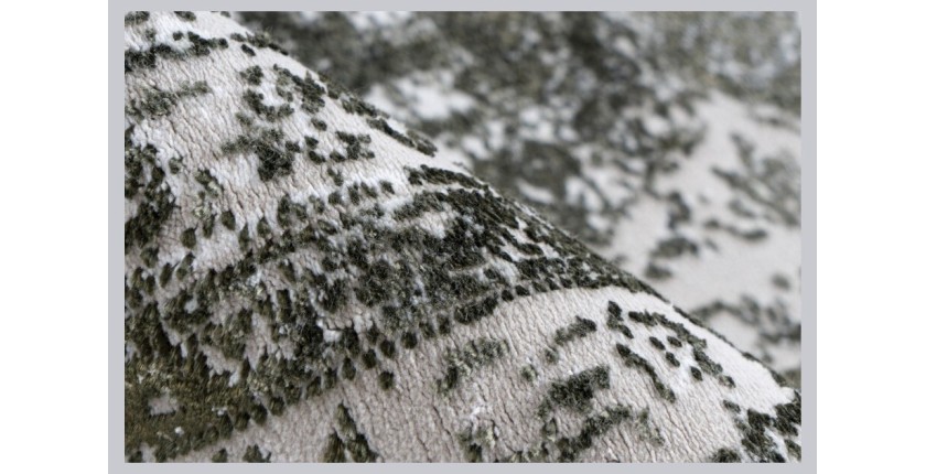 Tapis 290x200cm, design E209E coloris vert - Confort et élégance pour votre intérieur