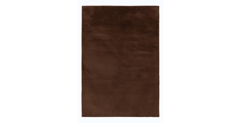 Tapis 110x60cm, design E005N coloris brun - Confort et élégance pour votre intérieur