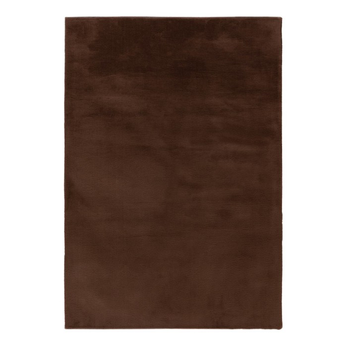 Tapis 150x80cm, design E005N coloris brun - Confort et élégance pour votre intérieur