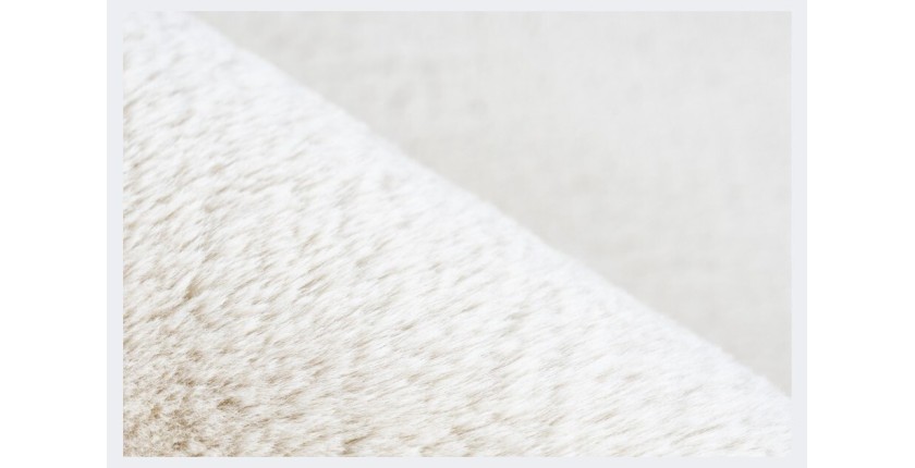 Tapis 230x160cm, design E005N coloris crème - Confort et élégance pour votre intérieur