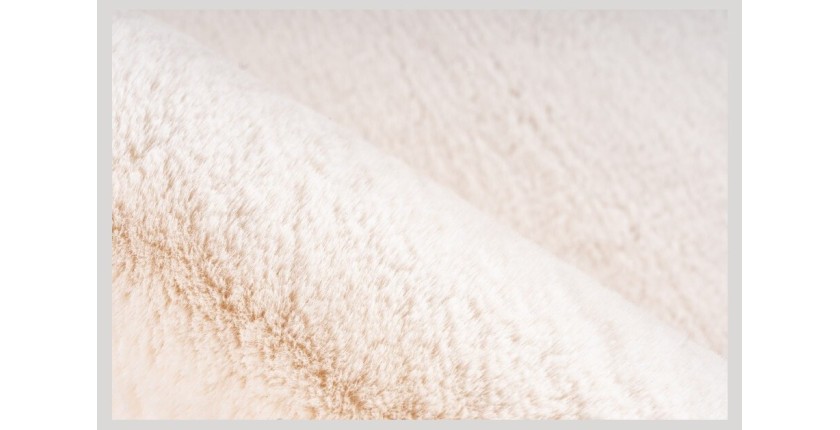 Tapis 230x160cm, design E009Y coloris ivoire - Confort et élégance pour votre intérieur