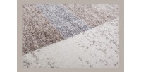 Tapis 170x120cm, design F005G coloris beige argenté - Confort et élégance pour votre intérieur