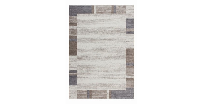 Tapis 170x120cm, design F005G coloris beige argenté - Confort et élégance pour votre intérieur