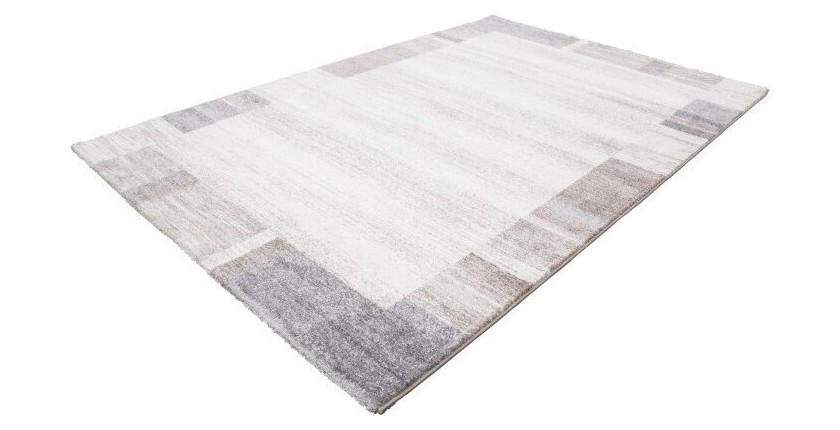 Tapis 230x160cm, design F005G coloris beige argenté - Confort et élégance pour votre intérieur