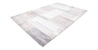 Tapis 290x200cm, design F105G coloris beige argenté - Confort et élégance pour votre intérieur