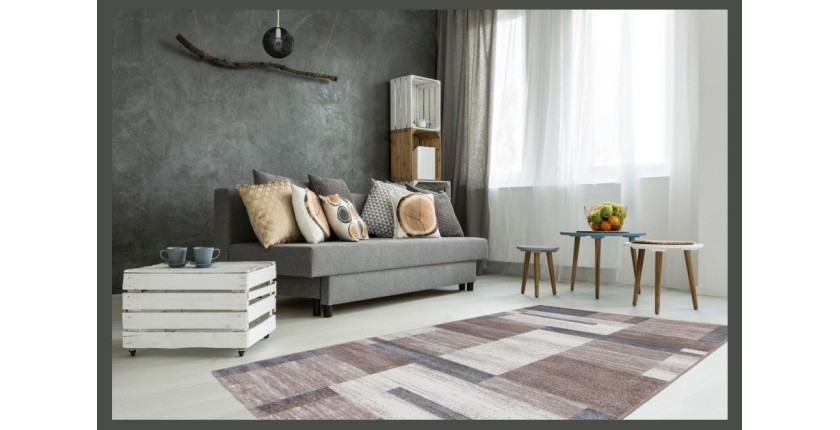 Tapis 290x200cm, design F105G coloris beige argenté - Confort et élégance pour votre intérieur