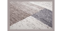 Tapis 290x200cm, design F105G coloris beige argenté - Confort et élégance pour votre intérieur