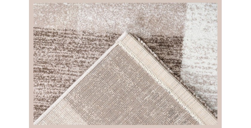 Tapis 290x200cm, design F105G coloris beige argenté - Confort et élégance pour votre intérieur