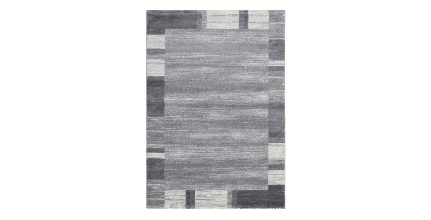Tapis 290x200cm, design F005G coloris argent - Confort et élégance pour votre intérieur