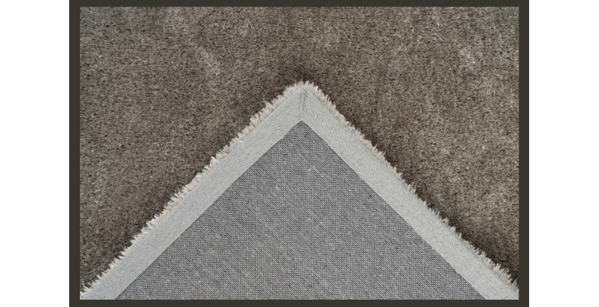 Tapis 230x160cm, design G008R coloris argent - Confort et élégance pour votre intérieur