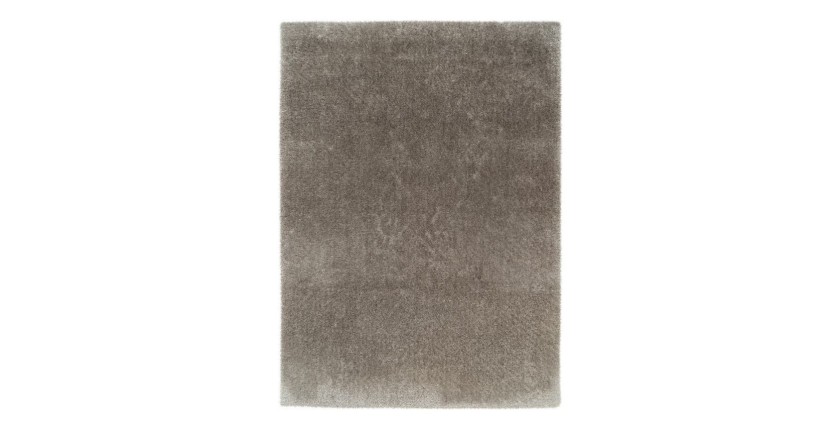 Tapis 230x160cm, design G008R coloris argent - Confort et élégance pour votre intérieur