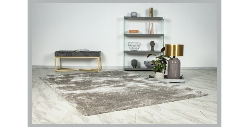 Tapis 290x200cm, design G008R coloris argent - Confort et élégance pour votre intérieur
